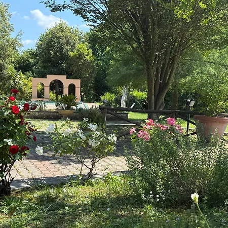 Bed & Breakfast Vittoria Campagnano Di Roma